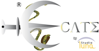 Ecate Cartomanzia Online